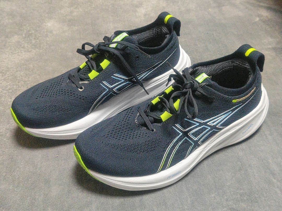 ASICS ゲルニンバス26 27.5cm