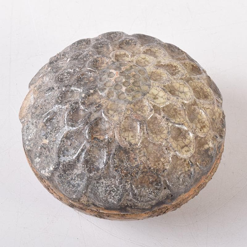 マル 茶道具　大樋焼　菊形　香合　時代箱　N　7468