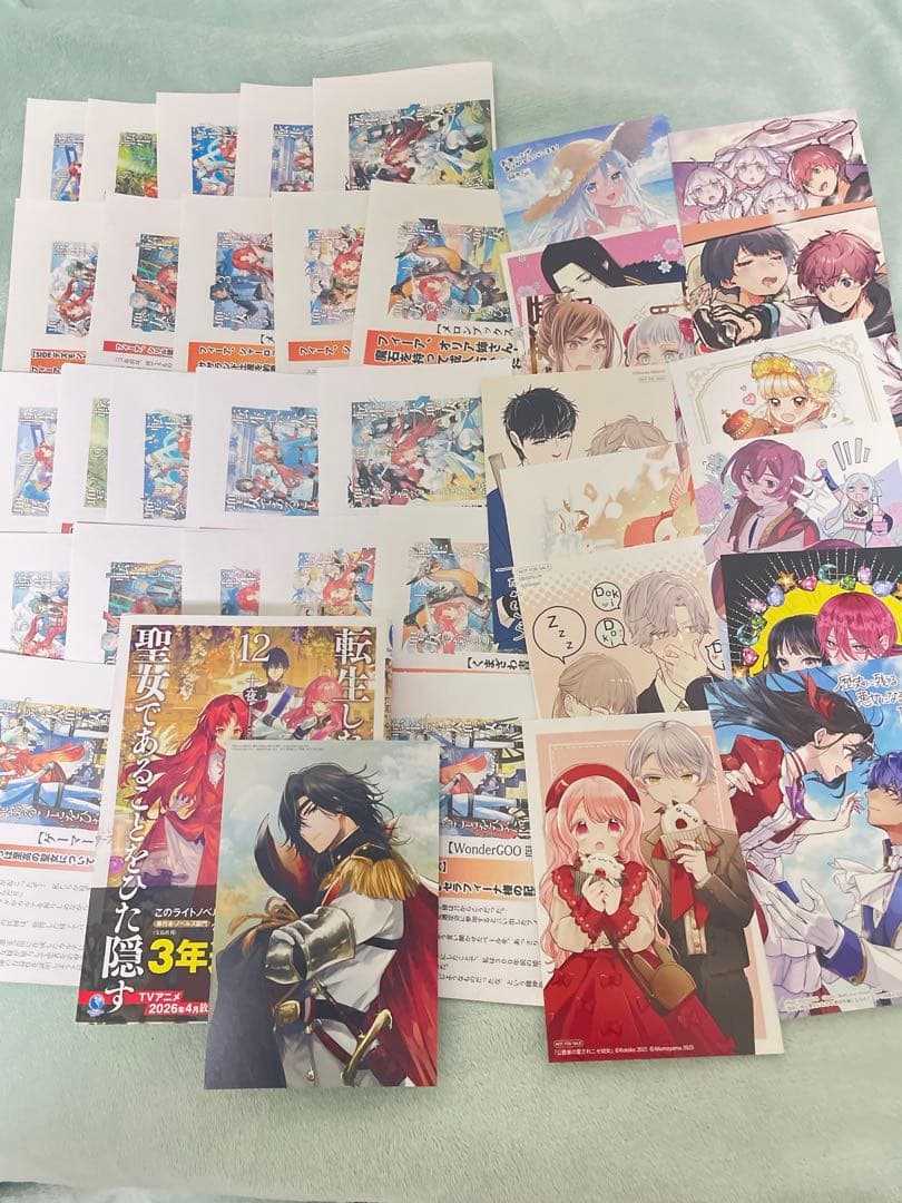 【新品】転生した大聖女は、聖女であることをひた隠す 12巻
