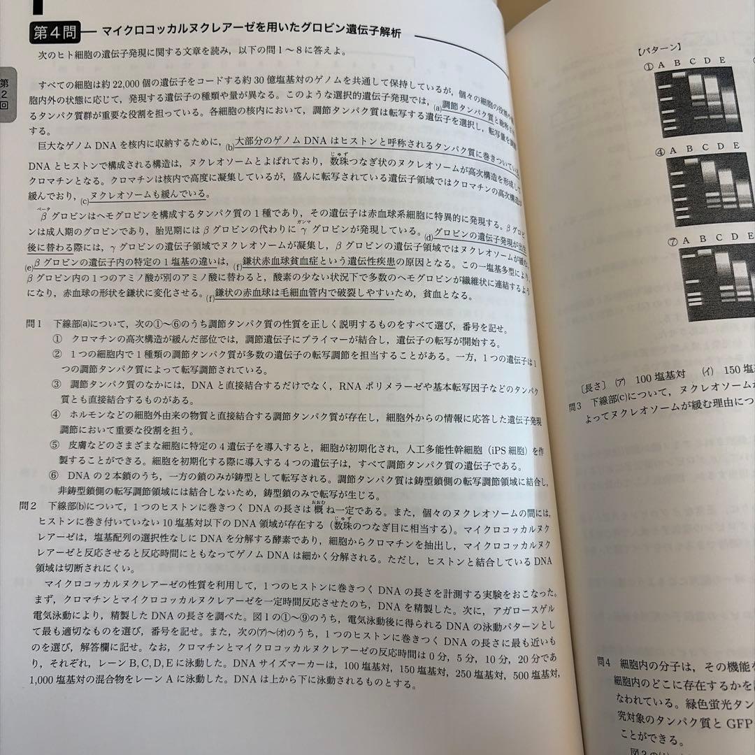 鉄緑会 高3生物 夏期講習 未使用 遺伝子徹底演習