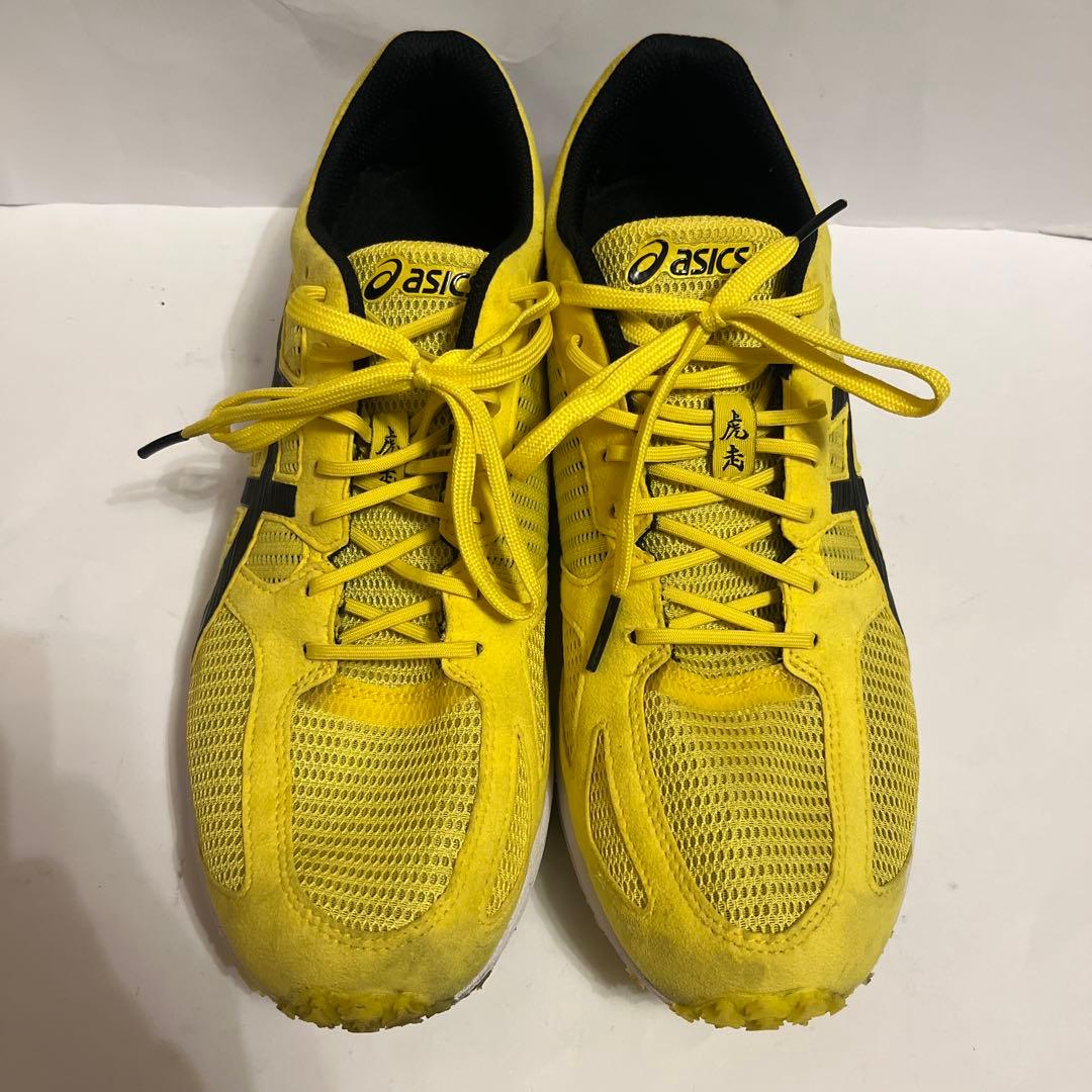 asics アシックス ターサージール6 28cm