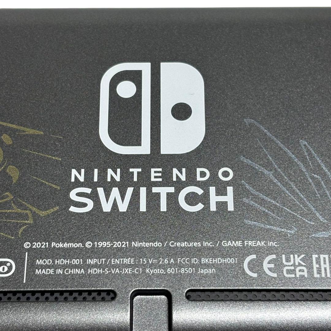 【動作確認済】Nintendo Switch Lite ディアルガ・パルキア
