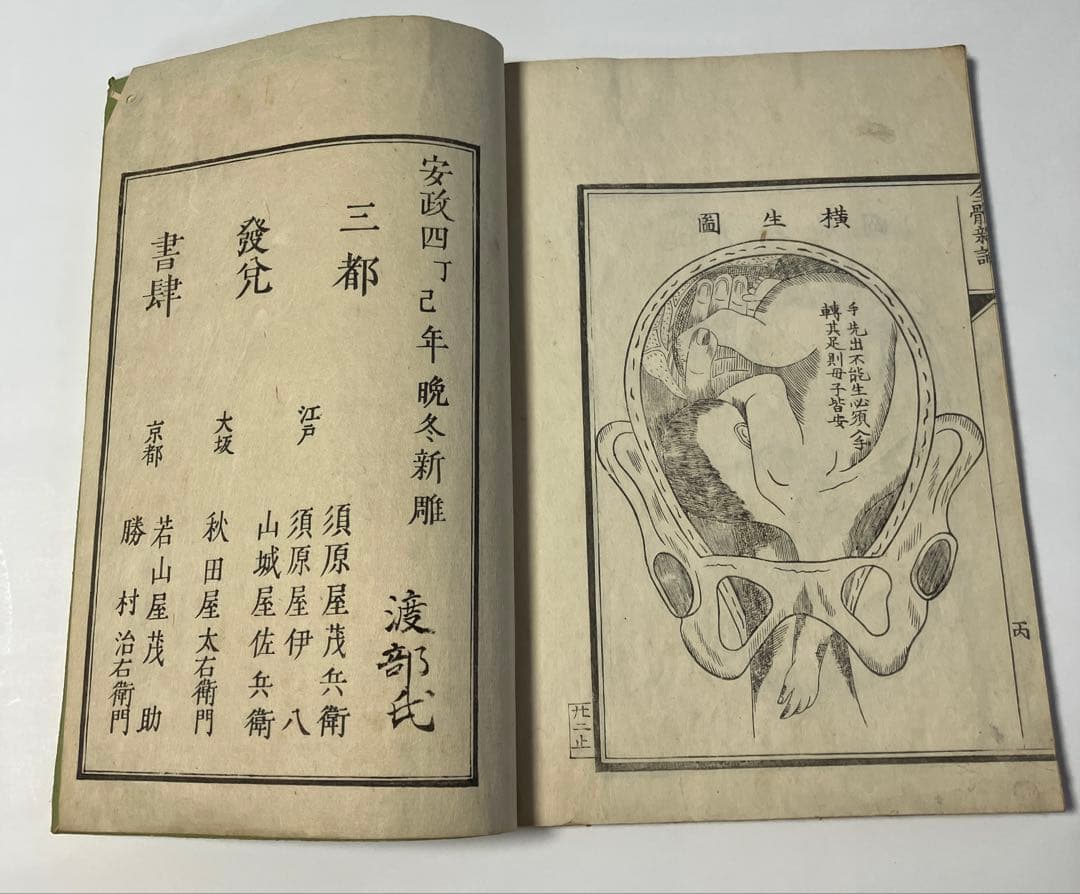 古書　全体新論図　体の構造を描いた本　安政4年　1857年刊