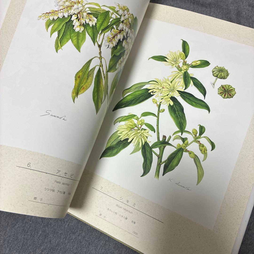 BOTANICAL ART KAHO SAWADA 大型本　定価1万2000円