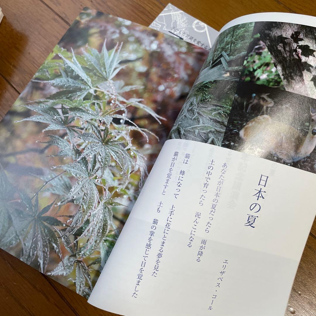 季刊子どもと昔話25号〜34号小沢健二うさぎ1話〜10話収録