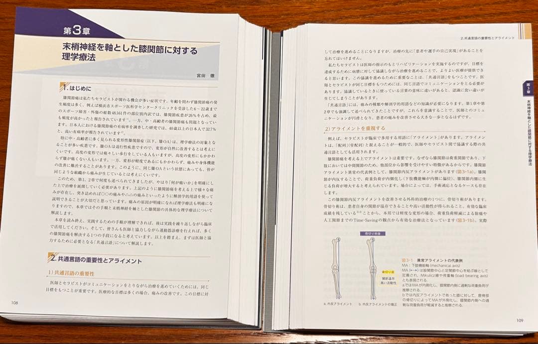 末梢神経とエコーから紐解く痛みの解釈【裁断済】