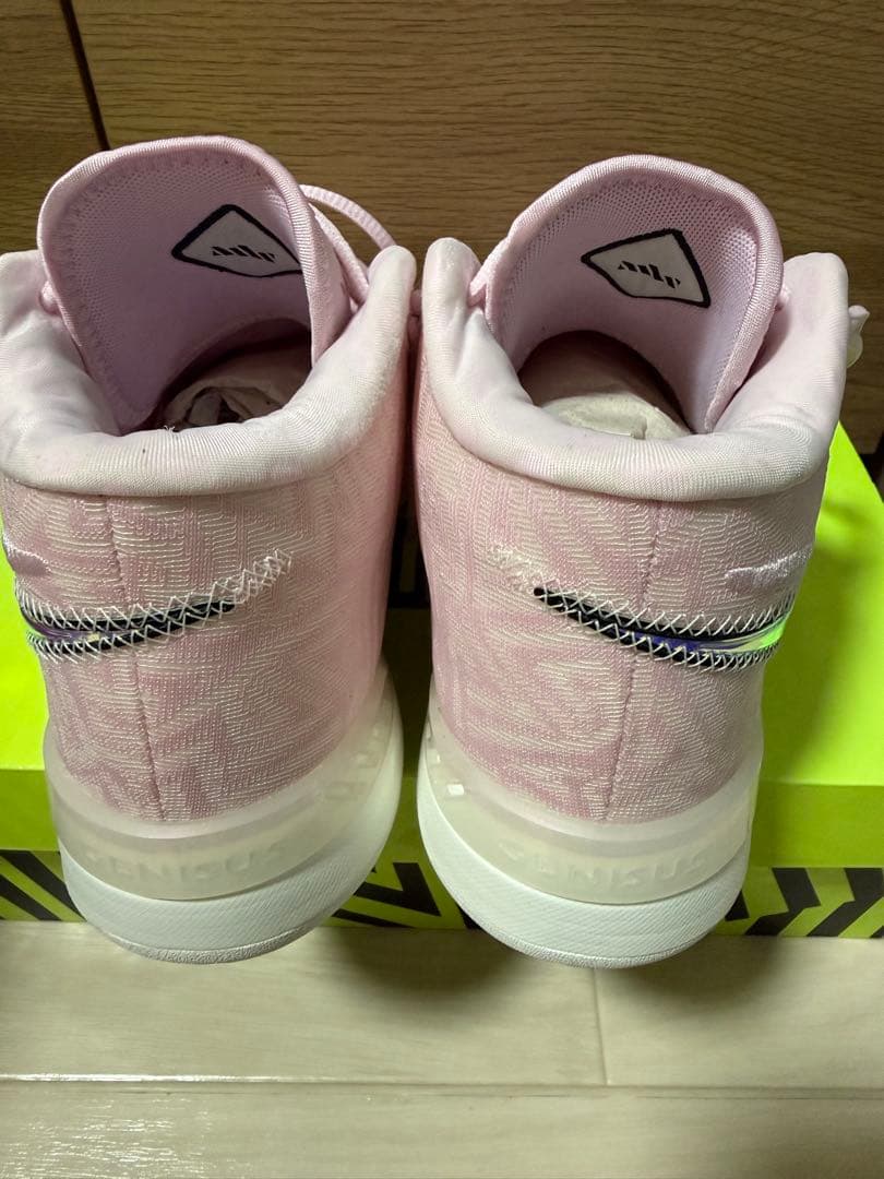 シューズ(男性用) NIKE LeBron NXXT GENISUS EP