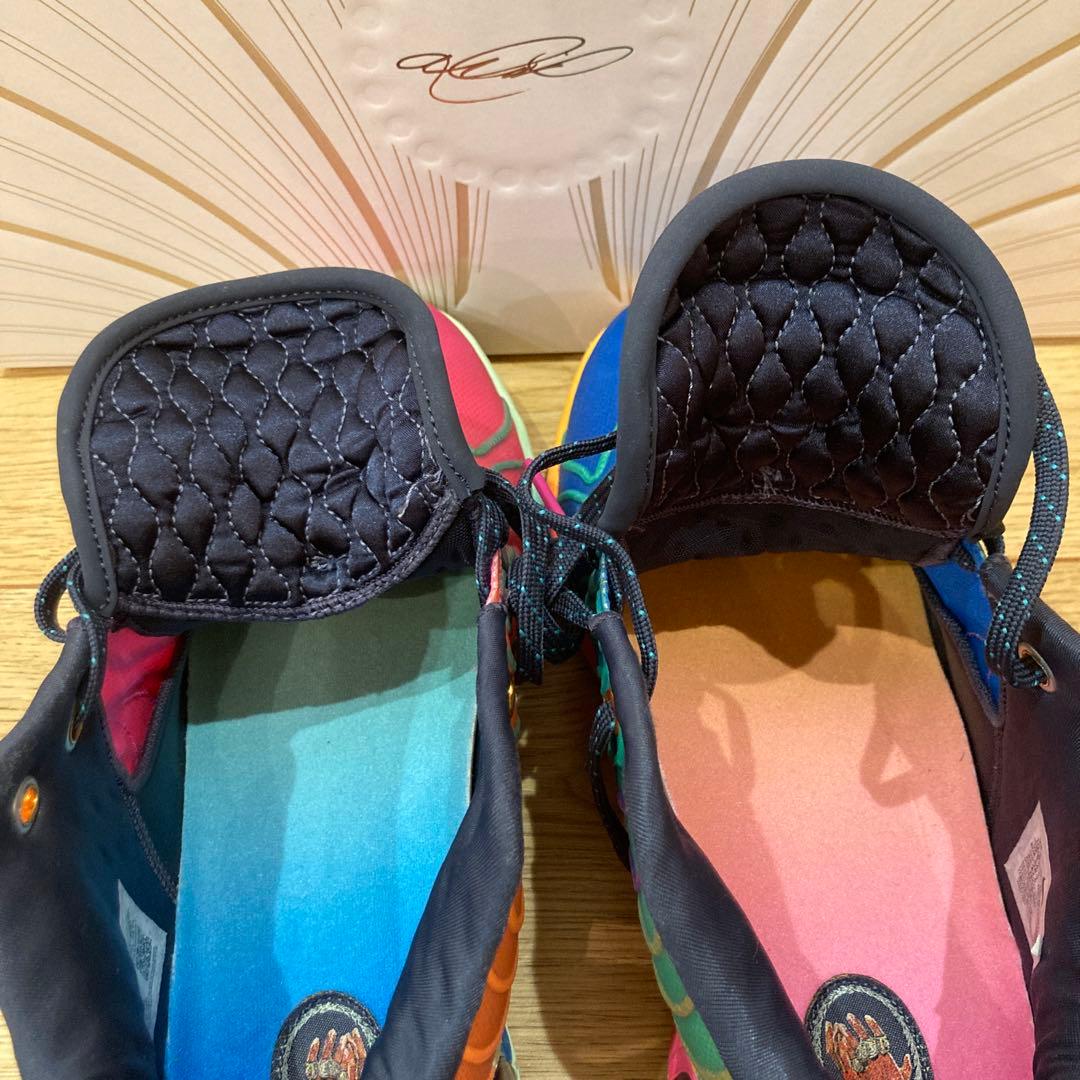 Nike レブロン21 LEBRON XXI EP マルチカラー