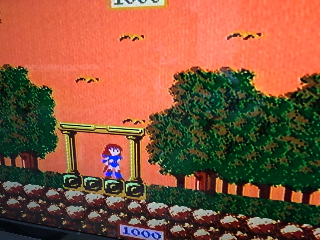 マドゥーラの翼